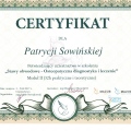 Powiększ obraz: certificate 10