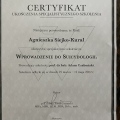 Powiększ obraz: certificate 3