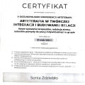 Powiększ obraz: certificate 1