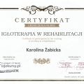 Powiększ obraz: certificate 2