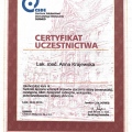 Powiększ obraz: certificate 8