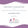 Powiększ obraz: certificate 3