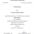 Powiększ obraz: certificate 19