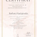 Powiększ obraz: certificate 3