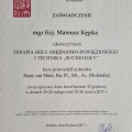 Powiększ obraz: certificate 24