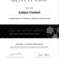 Powiększ obraz: certificate 4