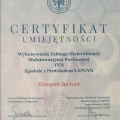 Powiększ obraz: certificate 1