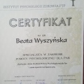 Powiększ obraz: certificate 2