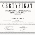 Powiększ obraz: certificate 396