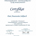 Powiększ obraz: certificate 11