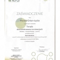 Powiększ obraz: certificate 5