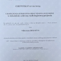 Powiększ obraz: certificate 2