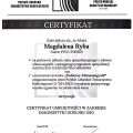 Powiększ obraz: certificate 1