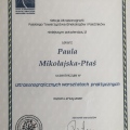 Powiększ obraz: certificate 12