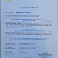 Powiększ obraz: certificate 12