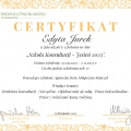 Powiększ obraz: certificate 2