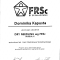 Powiększ obraz: certificate 7