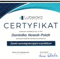 Powiększ obraz: certificate 9
