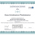 Powiększ obraz: certificate 10