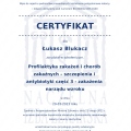 Powiększ obraz: certificate 282