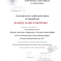 Powiększ obraz: certificate 34