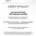 Powiększ obraz: certificate 8