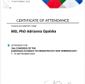 Powiększ obraz: certificate 5