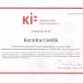 Powiększ obraz: certificate 1