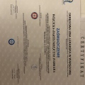 Powiększ obraz: certificate 2