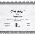 Powiększ obraz: certificate 9