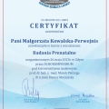 Powiększ obraz: certificate 2