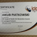 Powiększ obraz: certificate 6