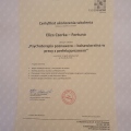 Powiększ obraz: certificate 8