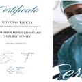 Powiększ obraz: certificate 8