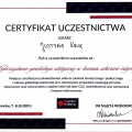 Powiększ obraz: certificate 13