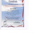 Powiększ obraz: certificate 8