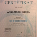 Powiększ obraz: certificate 4