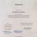 Powiększ obraz: certificate 11