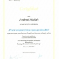 Powiększ obraz: certificate 16
