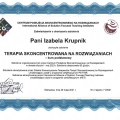 Powiększ obraz: certificate 1