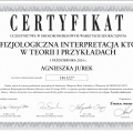 Powiększ obraz: certificate 69
