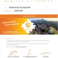 Powiększ obraz: certificate 13