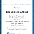 Powiększ obraz: certificate 8