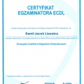 Powiększ obraz: certificate 9