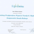 Powiększ obraz: certificate 10