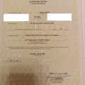 Powiększ obraz: certificate 52