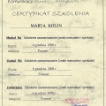 Powiększ obraz: certificate 9