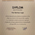 Powiększ obraz: certificate 9