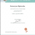 Powiększ obraz: certificate 7