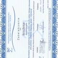Powiększ obraz: certificate 5